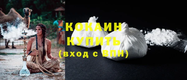 ПСИЛОЦИБИНОВЫЕ ГРИБЫ Белокуриха
