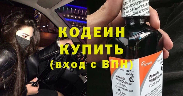мдпв Протвино