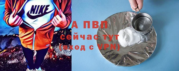 ПСИЛОЦИБИНОВЫЕ ГРИБЫ Белокуриха